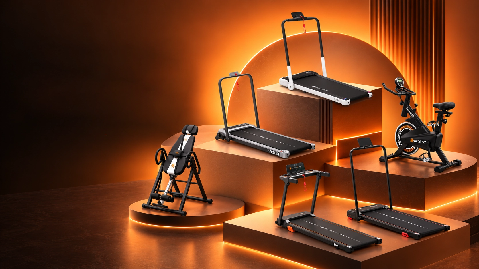 HALO-FIT — wspólny ruch i aktywność w różnym wieku